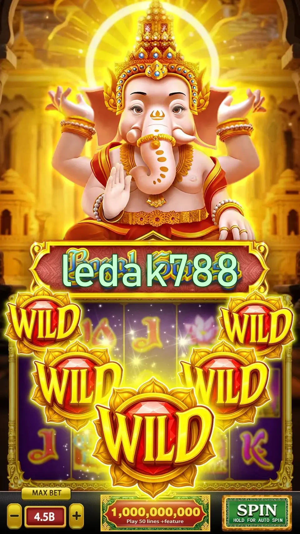 ledak788 APK